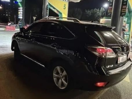 Lexus RX, 2010 — photo 2