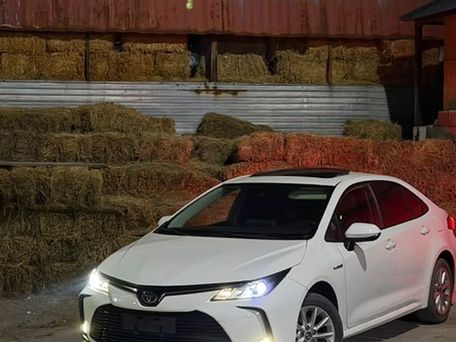 Toyota Corolla, 2019 — сүрөт 3