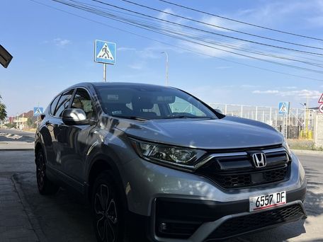 Honda CR-V, 2020 — фото 3