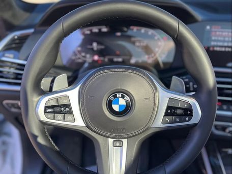 BMW X7, 2020 — photo 8