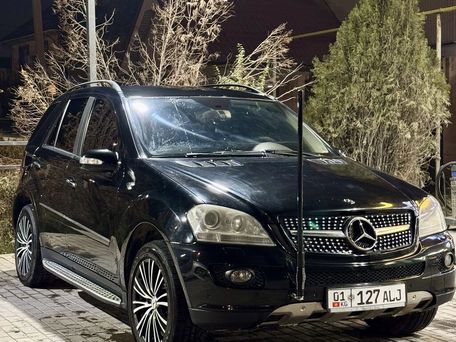 Mercedes-Benz M-Класс, 2006 — фото 1