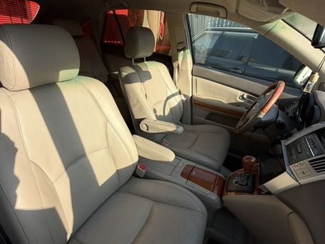 Lexus RX, 2008 — photo 9