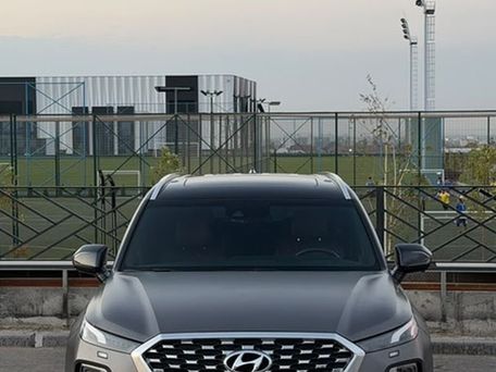 Hyundai Palisade, 2019 — фото 1