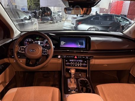 Kia Carnival, 2021 — photo 12