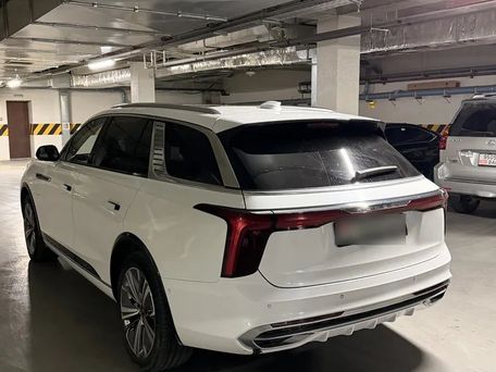 Hongqi E-HS9, 2021 — photo 3
