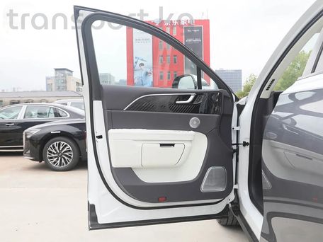 Hongqi E-HS9, 2025 — photo 9