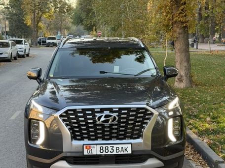 Hyundai Palisade, 2020 — сүрөт 1