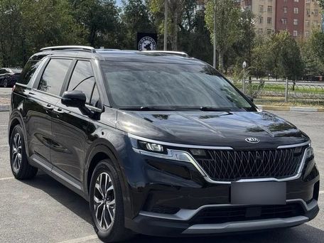 Kia Carnival, 2020