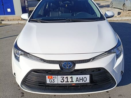 Toyota Levin, 2023 — сүрөт 1