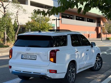 Hyundai Palisade, 2021 — photo 4