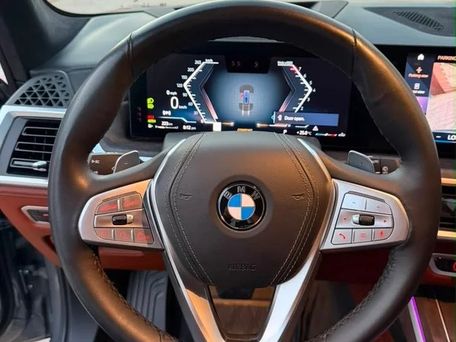 BMW X7, 2022 — фото 7