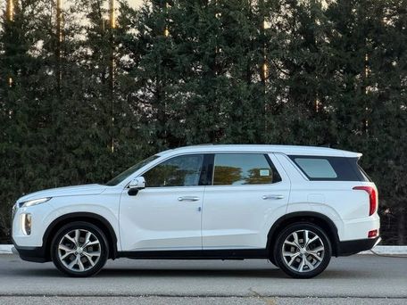 Hyundai Palisade, 2019 — photo 3
