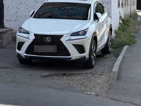 Lexus NX, 2021 — фото 1