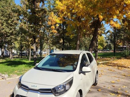 Kia Picanto, 2019 — photo 2