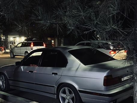 BMW 5 серии, 1993 — сүрөт 1