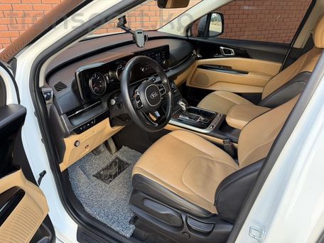 Kia Carnival, 2020 — photo 9