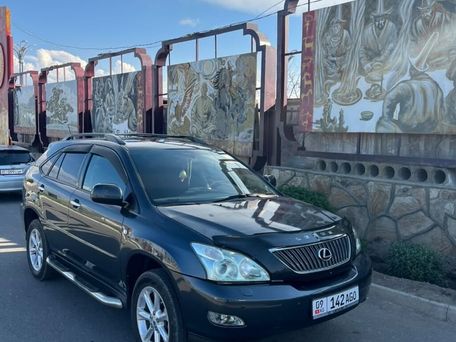 Lexus RX, 2008 — сүрөт 7