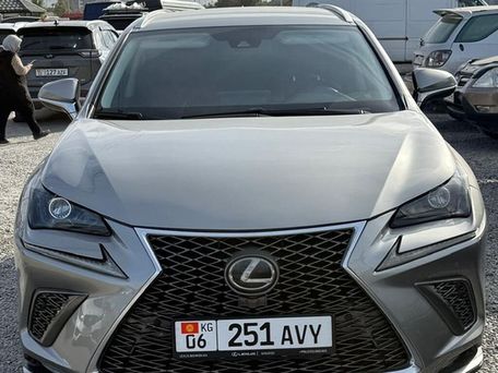 Lexus NX, 2017 — photo 8