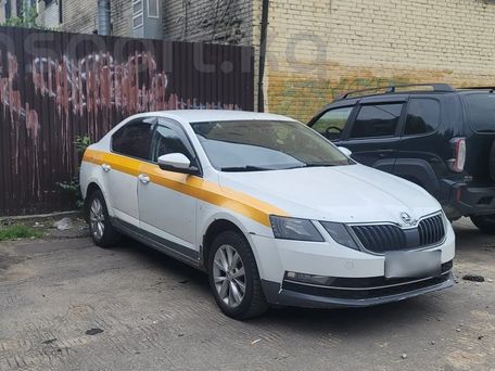 Skoda Octavia, 2017 — фото 2