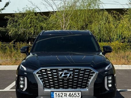 Hyundai Palisade, 2020 — фото 3
