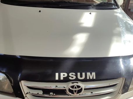 Toyota Ipsum, 2000 — фото 1