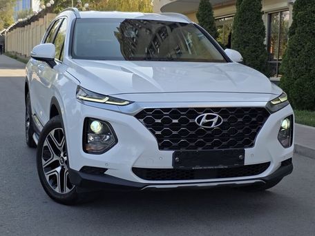 Hyundai Santa Fe, 2020 — фото 16