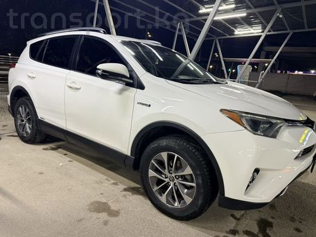 Toyota RAV4, 2017 — фото 1