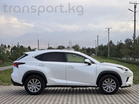 Lexus NX, 2017 — сүрөт 7
