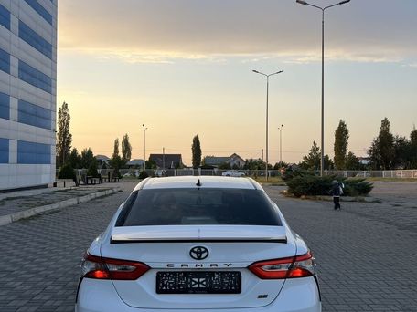 Toyota Camry, 2019 — фото 10