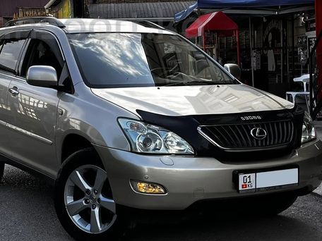 Lexus RX, 2007 — фото 12