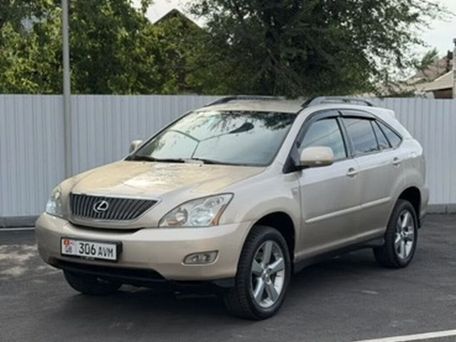 Lexus RX, 2003 — photo 9