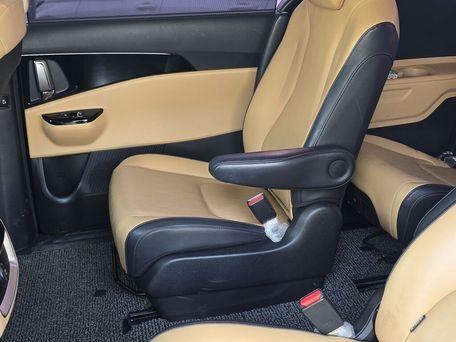 Kia Carnival, 2020 — photo 15