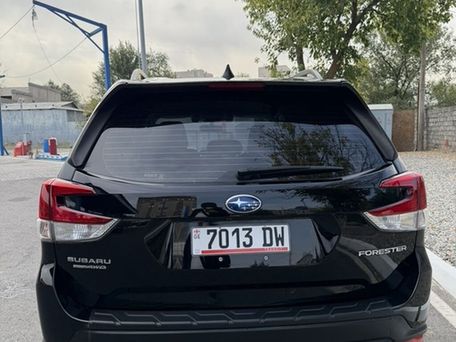 Subaru Forester, 2020 — 照片 10