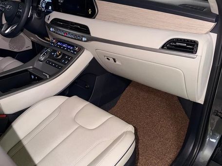 Hyundai Palisade, 2021 — photo 8