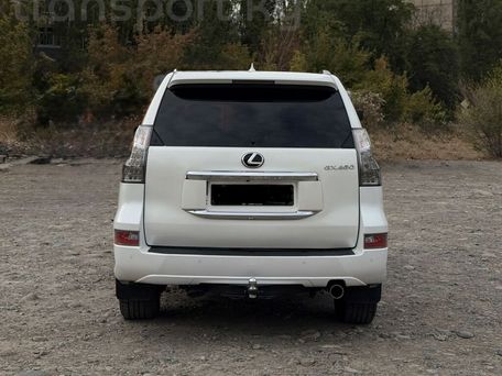 Lexus GX, 2019 — фото 3