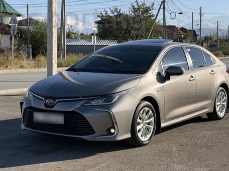 Toyota Corolla, 2019 — фото 1