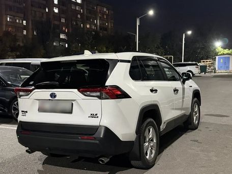 Toyota RAV4, 2019 — фото 5