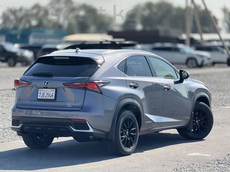 Lexus NX, 2020 — фото 4