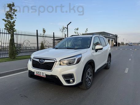 Subaru Forester, 2021 — фото 1