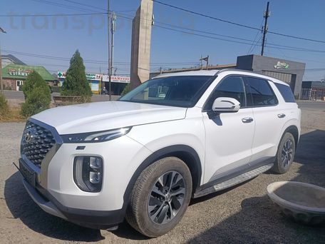 Hyundai Palisade, 2020 — фото 1
