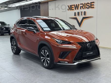 Lexus NX, 2021 — фото 1