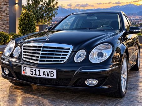 Mercedes-Benz E-Класс, 2008 — фото 1