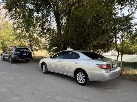 Lexus ES, 2003 — фото 15