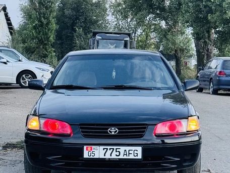 Toyota Camry, 1999 — фото 1
