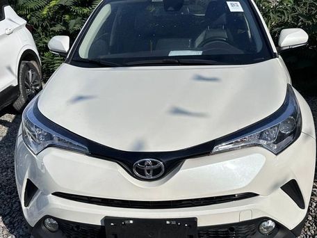 Toyota C-HR, 2020 — фото 2