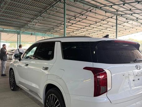 Hyundai Palisade, 2021 — photo 7