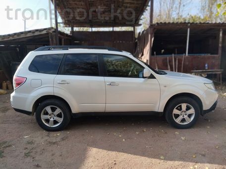 Subaru Forester, 2009 — 照片 3