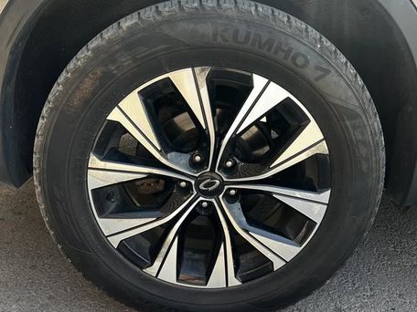 Renault Samsung QM6, 2020 — фото 8