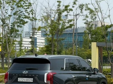 Hyundai Palisade, 2020 — сүрөт 6