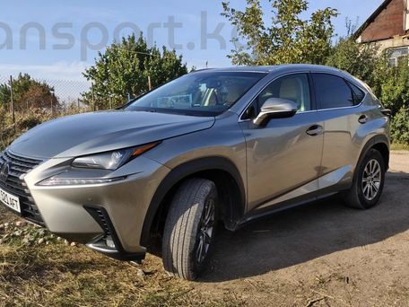 Lexus NX, 2019 — 照片 3